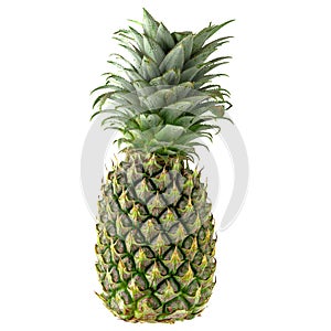 Single whole pineapple isolated on a white background