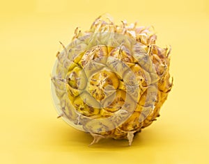 single whole pineapple isolated on yellow background