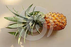 Single whole pineapple tropical fruit or ananas isolated on white background. Whole ananas with leaves. Yellow orange ripe fresh