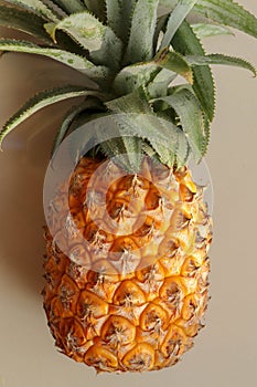 Single whole pineapple tropical fruit or ananas isolated on white background. Whole ananas with leaves. Yellow orange ripe fresh