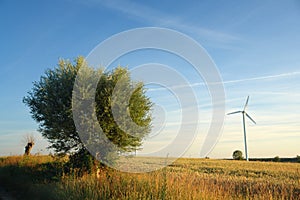 Single wind turbine, rural landscape.