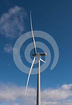 Single wind turbine in the sun