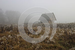 Single wooden hut on misty morning