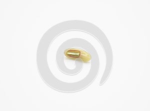 single Yard Long Bean seed on white background