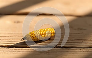 Single Yellow Corn Kernel on Wood