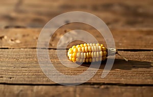 Single Yellow Corn Kernel on Wood