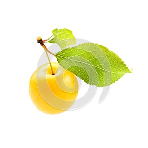 Single yellow mirabele plum Prunus domestica syriaca with green leaf isolated on white background