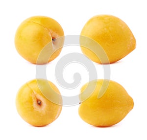 Single yellow mirabelle plum isolated