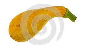 Single yellow summer squash on a white background