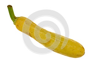 Single yellow summer squash on a white background