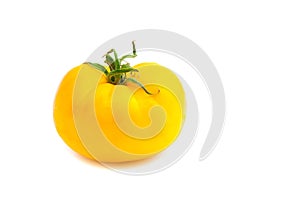 Single yellow tomato