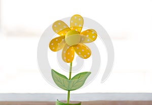 Single yellow wooden daisy isolated on white background.
