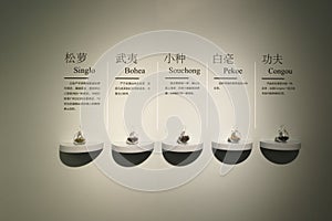 Singlo, Bohea, Souchong, Pekoe, Congou,