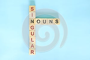 Singular nouns concept in English grammar education. Wooden block crossword puzzle flat lay in blue background.