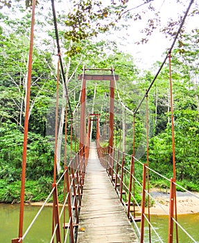 Sinharaja bridge