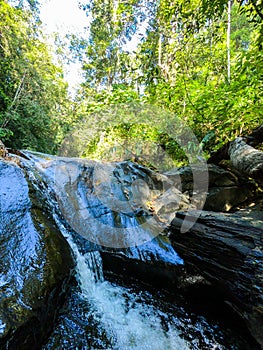 Sinharaja Forest Reserve Sri lanka