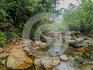 Sinharaja Forest Reserve Sri lanka