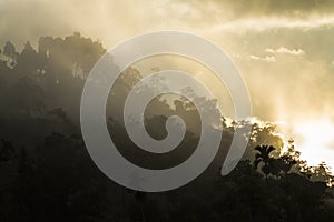 Sinharaja forest reserve, Sri Lanka