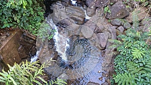 Sinharaja forest small water fall