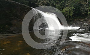 Sinharaja Forest in sri lanka