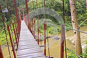 Sinharaja National Park Rain Forest, Sri Lanka, Asia