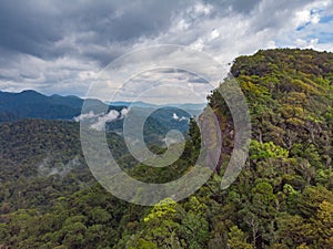 Sinharaja rain forest nature reserve Sri Lanka Aerial View at Sunset Mountains Jungle Ancient Forest