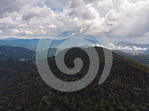 Sinharaja rain forest nature reserve Sri Lanka Aerial View at Sunset Mountains Jungle Ancient Forest