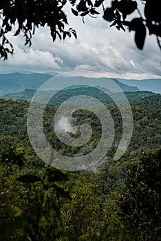 Sinharaja rain forest nature reserve, Sri Lanka. View from top of mountain to forest.