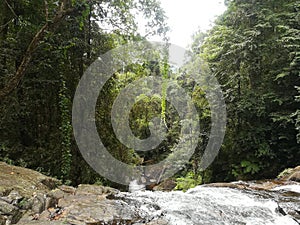 Sinharaja Rainforest waterfalls in Sri Lanka and deniyaya district.