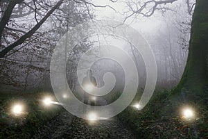 A sinister hooded figure standing on a forest track. on a foggy evening. Surrounded by glowing supernatural lights