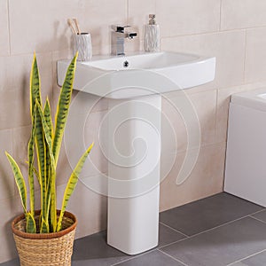 Sink next to a beautiful tall plant in a bright bathroom with cream tile wall and grey floor