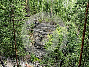 Sinkholes in the ground in a mountainous forest area