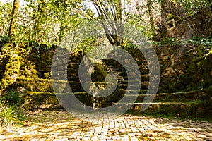 Sintra garden near the Pena palace with stone bench and stairs covered moss