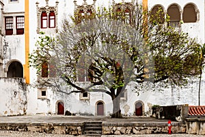 The Sintra National Palace (Palacio Nacional de Sintra)