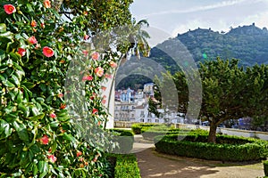 Sintra National Palace, Sintra, Portugal