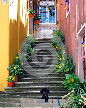 Sintra Steps