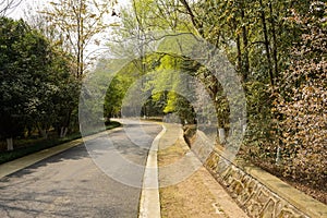 Devanado asfalto carreteras en floreciente primavera 