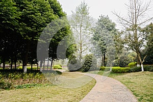 Sinuous footpath in verdant spring