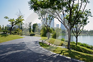 Sinuous lakeside blacktopped path on grassy lawn in sunny summer morning photo