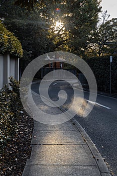 A sinuous path with leaves and trees at autumn