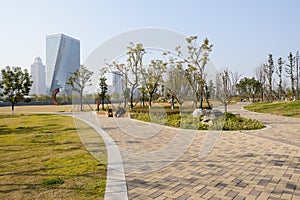 Sinuous path at path in winter modern city