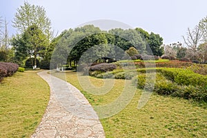 Sinuous pavement in verdant spring