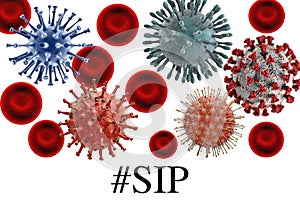  SIP text with Viruses on white  background photo