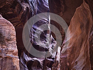 The Siq canyon in Petra, Jordan, Middle East