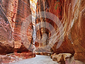 Siq gorge in Petra, Jordan