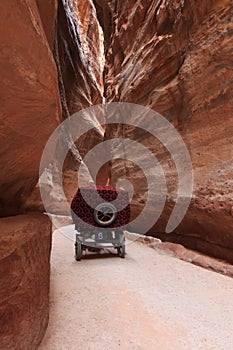 The Siq leading up to the Trausury in Petra, Jordan