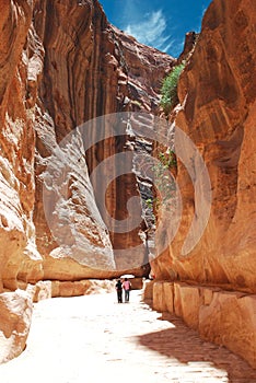 The Siq Petra