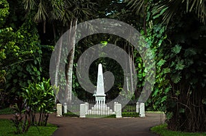 Sir Seewoosagur Ramgoolam Botanical Garden in Mauritius