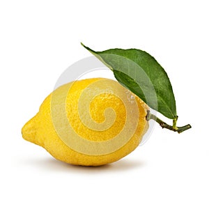 Siracusa lemon IGP isolated on white background photo