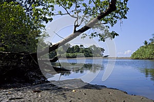 Sirena River Banks at Corcovado National Park photo